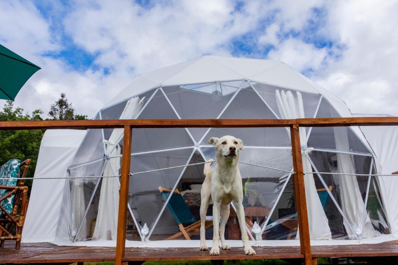 Glamping Claro De Luna Гуатавита Екстериор снимка